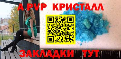 СК Кингисепп
