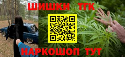 СК Кингисепп