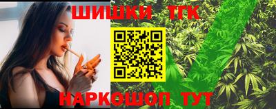 СК Кингисепп