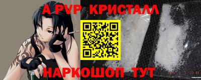 СК Кингисепп