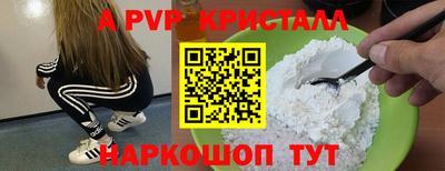 СК Кингисепп