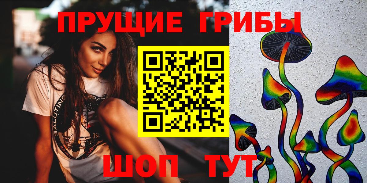 Псилоцибиновые грибы Psilocybine cubensis Кандалакша