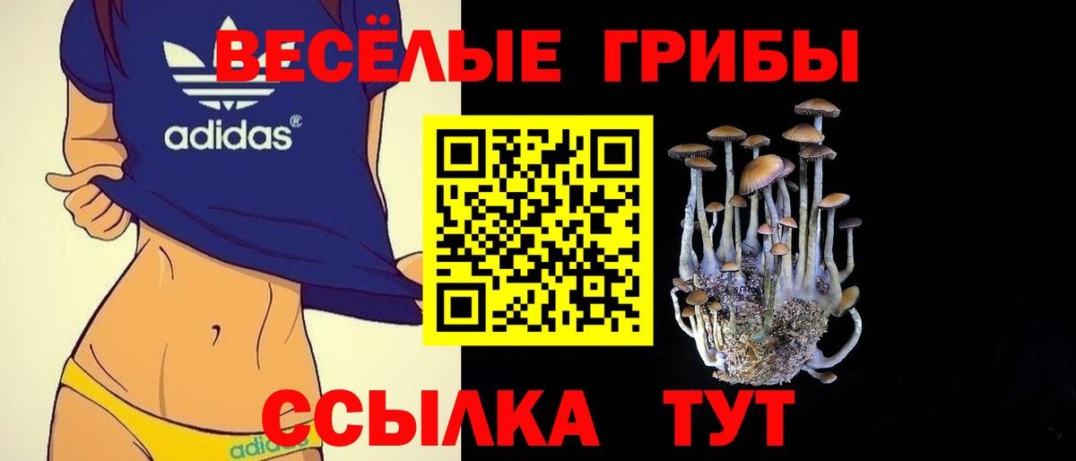 Псилоцибиновые грибы Psilocybe  Вход с VPN  Псилоцибиновые грибы мухоморы  Кандалакша 